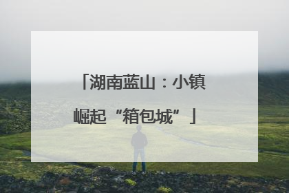湖南蓝山：小镇崛起“箱包城”