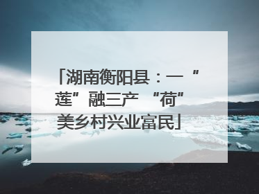 湖南衡阳县：一“莲”融三产 “荷”美乡村兴业富民
