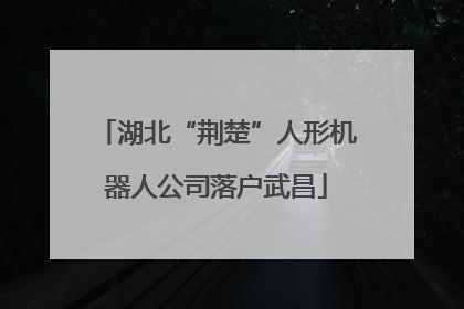 湖北“荆楚”人形机器人公司落户武昌