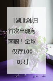 湖北秭归首次出现海南鳽！全球仅存1000只
