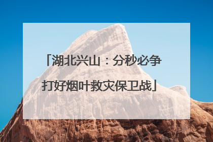 湖北兴山：分秒必争 打好烟叶救灾保卫战