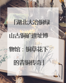 湖北大冶铜绿山古铜矿遗址博物馆：铜草花下的青铜传奇