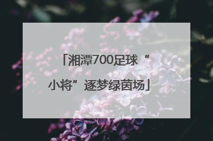 湘潭700足球“小将”逐梦绿茵场