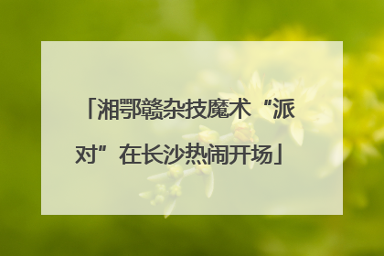 湘鄂赣杂技魔术“派对”在长沙热闹开场