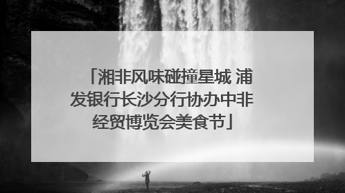 湘非风味碰撞星城 浦发银行长沙分行协办中非经贸博览会美食节
