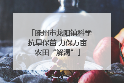 滕州市龙阳镇科学抗旱保苗 力保万亩农田“解渴”