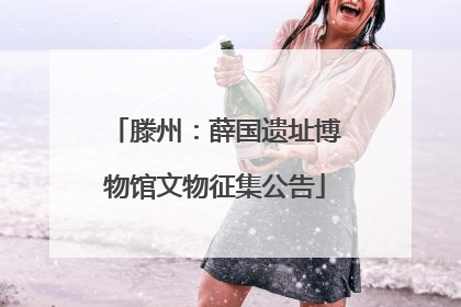 滕州：薛国遗址博物馆文物征集公告