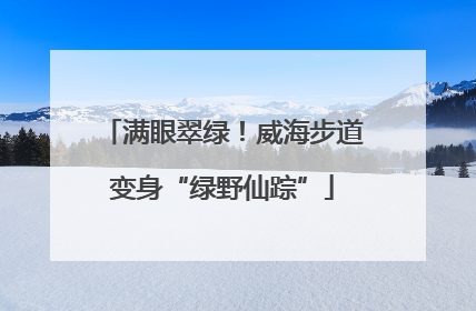 满眼翠绿！威海步道变身“绿野仙踪”
