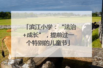 滨江小学：“法治+成长”，提前过一个特别的儿童节