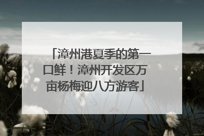 漳州港夏季的第一口鲜！漳州开发区万亩杨梅迎八方游客