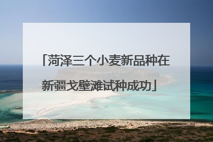 菏泽三个小麦新品种在新疆戈壁滩试种成功