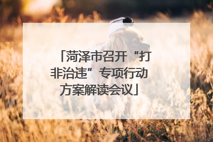菏泽市召开“打非治违”专项行动方案解读会议