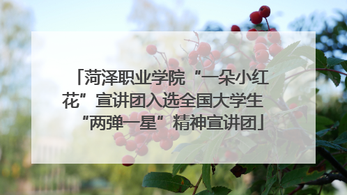 菏泽职业学院“一朵小红花”宣讲团入选全国大学生“两弹一星”精神宣讲团