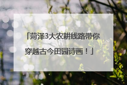 菏泽3大农耕线路带你穿越古今田园诗画！
