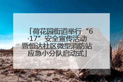 荷花园街道举行“6·17”安全宣传活动暨恒达社区微型消防站应急小分队启动式