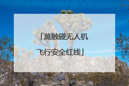 莫触碰无人机飞行安全红线