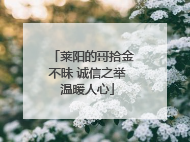 莱阳的哥拾金不昧 诚信之举温暖人心