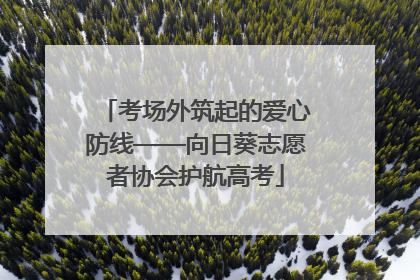 考场外筑起的爱心防线——向日葵志愿者协会护航高考