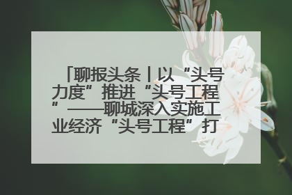 聊报头条丨以“头号力度”推进“头号工程”——聊城深入实施工业经济“头号工程”打造经济发展强引擎