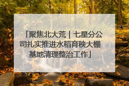 聚焦北大荒｜七星分公司扎实推进水稻育秧大棚基地清理整治工作