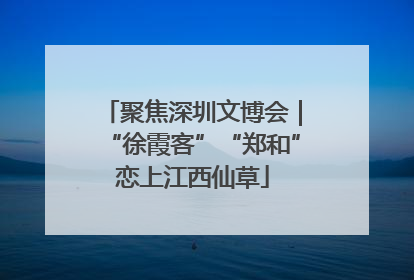 聚焦深圳文博会｜“徐霞客”“郑和”恋上江西仙草