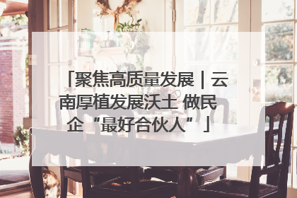 聚焦高质量发展｜云南厚植发展沃土 做民企“最好合伙人”