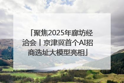 聚焦2025年廊坊经洽会丨京津冀首个AI招商选址大模型亮相