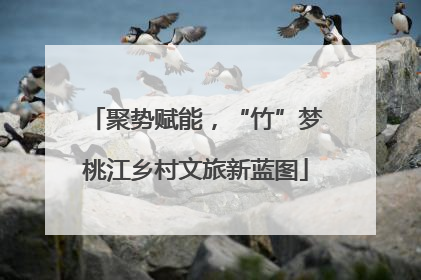 聚势赋能，“竹”梦桃江乡村文旅新蓝图