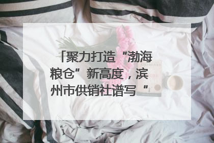聚力打造“渤海粮仓”新高度，滨州市供销社谱写“三夏”丰收乐章
