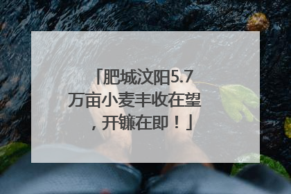 肥城汶阳5.7万亩小麦丰收在望，开镰在即！