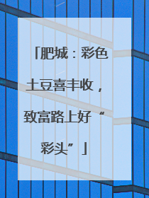 肥城：彩色土豆喜丰收，致富路上好“彩头”