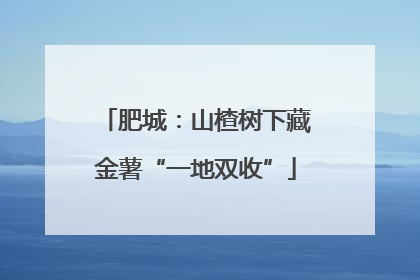 肥城：山楂树下藏金薯“一地双收”