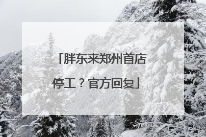 胖东来郑州首店停工？官方回复