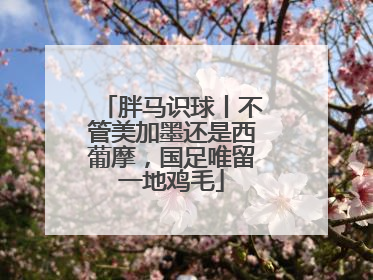 胖马识球丨不管美加墨还是西葡摩，国足唯留一地鸡毛