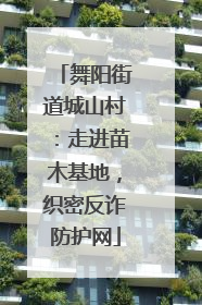 舞阳街道城山村：走进苗木基地，织密反诈防护网