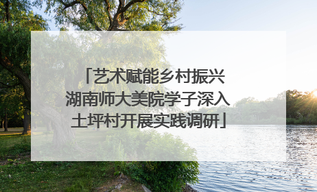 艺术赋能乡村振兴 湖南师大美院学子深入土坪村开展实践调研