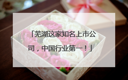 芜湖这家知名上市公司，中国行业第一！