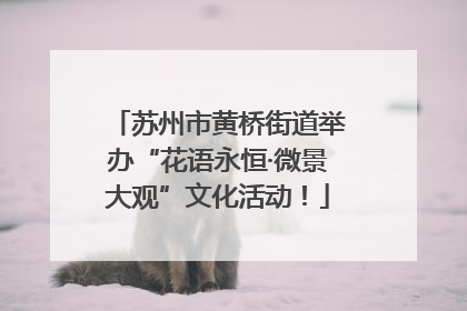 苏州市黄桥街道举办“花语永恒·微景大观”文化活动！