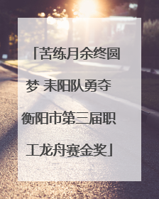 苦练月余终圆梦 耒阳队勇夺衡阳市第三届职工龙舟赛金奖