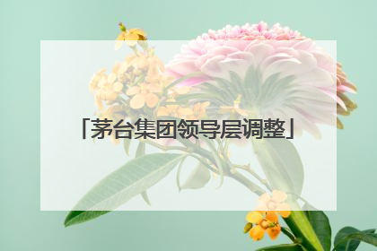 茅台集团领导层调整
