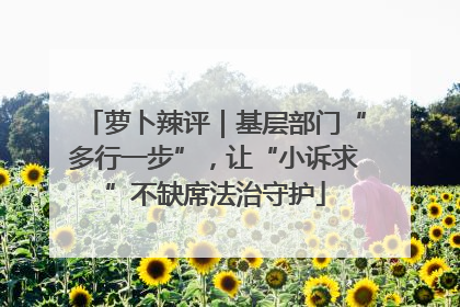 萝卜辣评｜基层部门“多行一步”，让“小诉求”不缺席法治守护