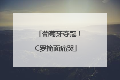 葡萄牙夺冠！C罗掩面痛哭