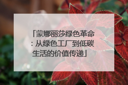 蒙娜丽莎绿色革命：从绿色工厂到低碳生活的价值传递