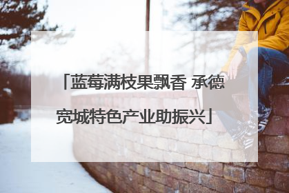 蓝莓满枝果飘香 承德宽城特色产业助振兴