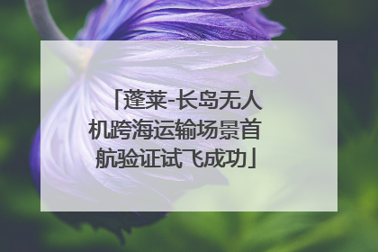 蓬莱-长岛无人机跨海运输场景首航验证试飞成功