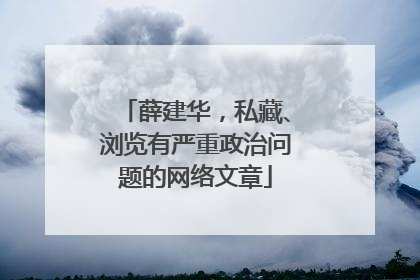 薛建华，私藏、浏览有严重政治问题的网络文章