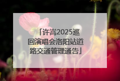 许嵩2025巡回演唱会洛阳站道路交通管理通告