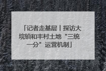 记者走基层丨探访大垸镇和丰村土地“三统一分”运营机制