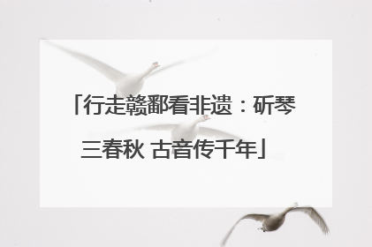 行走赣鄱看非遗：斫琴三春秋 古音传千年