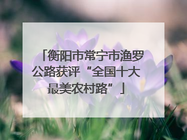 衡阳市常宁市渔罗公路获评“全国十大最美农村路”